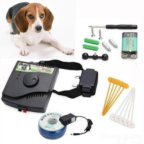 Collier anti-fuite électrique pour chien (comprend 2 colliers) 2