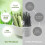 80PCS Cat Grass Teeth Grinding Stick Snacks Cat Teeth Cleaning Sticks Pet 5