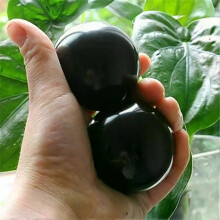 2pcs Elderly Health Care Stress Balls For Adults Meditation Exercise Hands Relief Relax Sets Boading