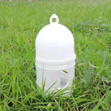 D7WA Pigeon Water Feeder Automatic Bird Water Dispenser Plastic Feeding Equipment