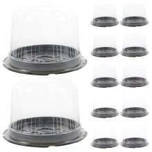 20 Pcs Packing Box Cake Dessert Containers Cold Shipping Boxes Flash Holder Plastic Multi-function Case