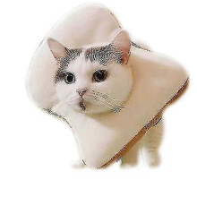 (L, peach) Cat Collar Avocado Bagel Cat Pet Headgear Anti-lick Ring