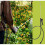 29" Stainless Steel Spray Wand with Ergonomic Hose and Adaptable Spray Settings 5