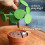 3D Printed Funny Dinner Decision for Decide What's for Dinner,Dining Decoration 4