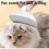(small,White)V-Tooth Deshedding Comb,Pet Hair Removal Tool,V-Shaped Teeth Pet Comb 5