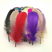 Plumas de ganso teñidas de 8-12 cm para manualidades, creación de joyas, accesorios de bricolaje, plumas