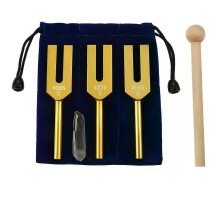 Jeu de diapasons 4096 Hz 4160 Hz 4225 Hz pour la guérison sonore des instruments de musique