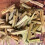 Palo Santo Sticks Αρωματικά Στικ Καθαριστικά, Θεραπευτικά, Ανα 2