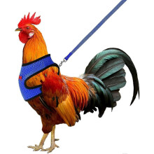 (As show, One size) Chicken Harness with Leash Adjustable Breathable Hen Dog Harness Medium (Blue)