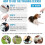 (As show, One size) 2 PCS Multi-Color Dog Clicker - Pet Training Clicker with Wrist Strap 5