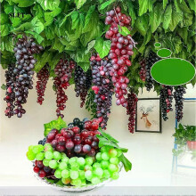 Högsimulering Druva Plastfrukt Falska Frukter Fotorekvisita Konstgjord Druva Fruktbutik Displaymodell