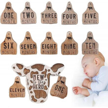 Highland Cow Milestone Markers, 13pcs Wooden Infant  Milestone Markers Set, Newborn Infant Gifts for Record Growth