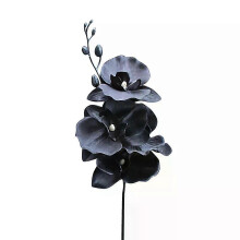 Τεχνητό μαύρο λουλουδάτο στελέχος Phalaenopsis προσομοίωση πε