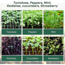 (As show, One size) 3 Seedling Tray with Planting Tools - Mini Greenhouse -3 Pcs
