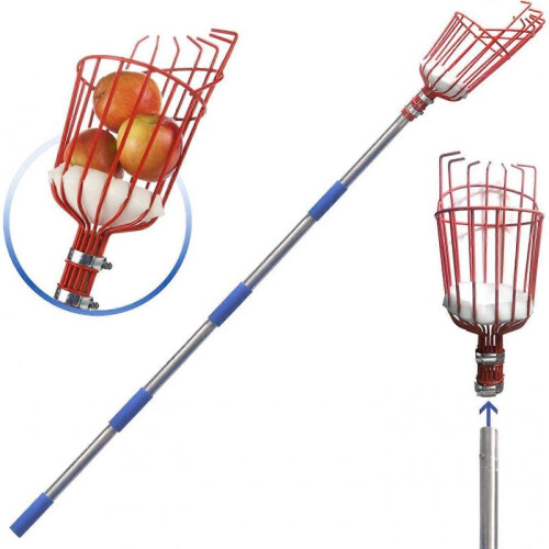 Fruit Picker Tool, 160cm Apple Picker Pole with Basket Adjustable, Long Handle, Fruits Catcher Tree Picker