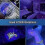 (As show, One size) 2pcs Uv Blacklight Flashlight 12 Leds 395nm Mini Flashlight Detector 2