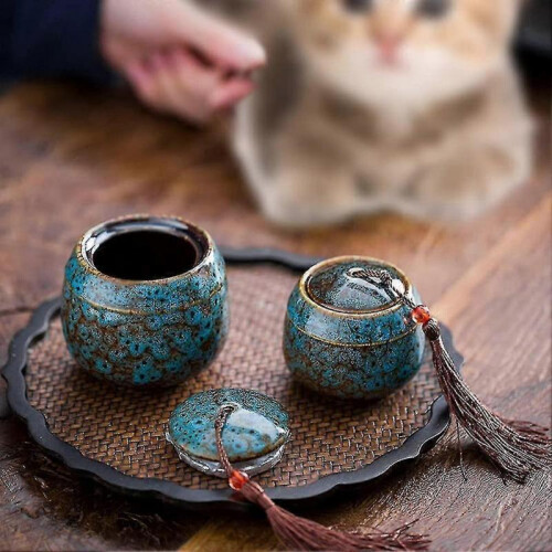 Luxury Urns for Human and Pet Ashes 2