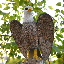 Garden Eagle Statue Bald Eagle Large Outdoor Statues Fake Eagle Decoy Yard Pest Animal Repellent Against For Garden Collection