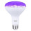 E27 15w 385-400nm UV LED black light bulb 2
