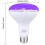 E27 15w 385-400nm UV LED black light bulb 3