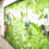 Crystal Ball Prism Pendant Garden Hanging 4