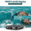 Desobry Mini DVD Player for Smart TV, Multi Region, Support USB/TF Card Input, HDMI/RCA Cable 3