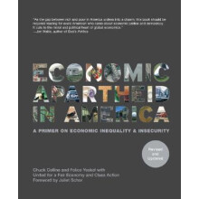 Economic Apartheid in America