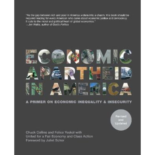 Economic Apartheid in America