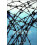 Barbed Wire 1