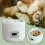 9 Eggs Incubator Automatic Farm Control Hatching Digital Mini Incubator for Quail Duck Bird Chicken 1
