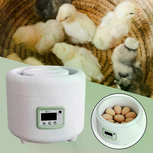 9 Eggs Incubator Automatic Farm Control Hatching Digital Mini Incubator for Quail Duck Bird Chicken