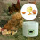 9 Eggs Incubator Automatic Farm Control Hatching Digital Mini Incubator for Quail Duck Bird Chicken 2