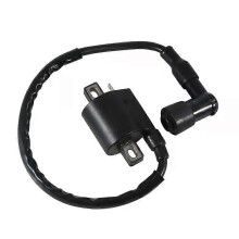 Časti motocykla Štartovacia cievka motora pre Yamaha TW200E TW200 TW125 TTR125R TTR125LWE DT50RSM