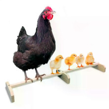 Chicken Perch Chicken Coop Accessories Chicken Swing for Large Bird Hens Parrot Macaw
