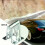 10 τμχ Αυτοκίνητο Auto Metal Retainer Clip Πίνακες ταμπλό αυτοκινήτ 2