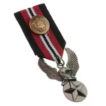 Spille in lega vintage da uomo, medaglia uniforme, stella, aquila, spilla a nastro, spille gotiche Streampunk,