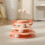 (StyleT) Cat Toy Interactive Bundle With Play Discs And Wobbler Cats For Stimulating 1