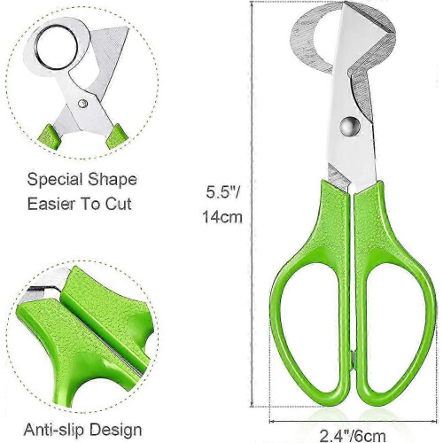 (As show, One size) Stainless Steel Quail Egg Scissors (2pcs) - Kitchen Tool for Quail Eggs 1