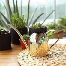 (As show, One size) Gold Stainless Metal Plant Watering Can - Long Spout 500ML Indoor and Outdoor
