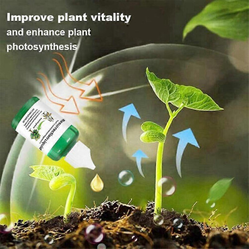 Plant Resurrection Liquid  Plant Growth Enhancer, Phyto Vitamin Solution 1
