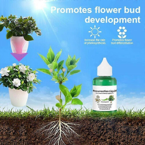 Plant Resurrection Liquid  Plant Growth Enhancer, Phyto Vitamin Solution 2