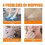 (3pcs)Munich Sunny Floor Cleaner,5 in 1 Floor cleaner,Hardwood Floor cleaner Solution 3