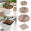 (Black 1) Useful Plants Protector Round Multi-use Soil Covers Protector Garden Durable Protection 4