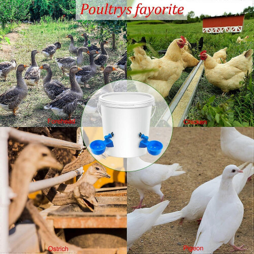 (As show, One size) 12 Pieces Chicken Drinker, Automatic Drinker, with Punch Tools, Suitable for Chickens, Ducks and Other Backyard Poultry 1
