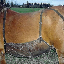 (As show, One size) Protective Cover Horse Abdomen Outdoor Net Rug Fly Comfortable Adjustable Anti-scratch Bite Anti-mos