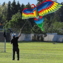 (As show, One size) Kites For Children 3d P-arrot K-ite Kids Toy Outdoor Flying Activity Game Children With Tail