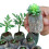 (As show, One size) Biodegradable Non-woven Nursery Bags 5