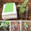 (As show, One size) Biodegradable Non-woven Nursery Bags 2