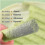 60pcs Berdexa Cat Grass Teething Sticks,Berdexa Cat Grass Feeding Stick,for Indoor Cat 5