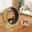 Cat Wheel Cat Exercise Wheel Cat Exercise Wheel for Indoor Cats 9